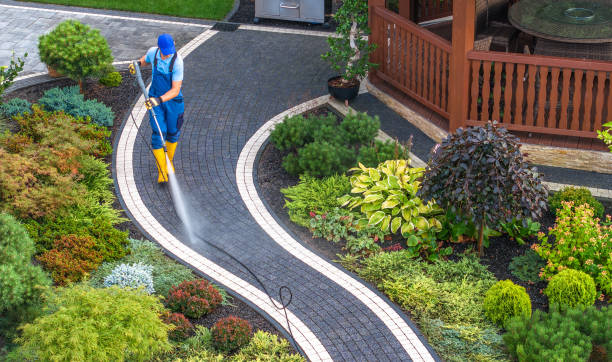 Local Pressure Washing Services in Arvada, CO